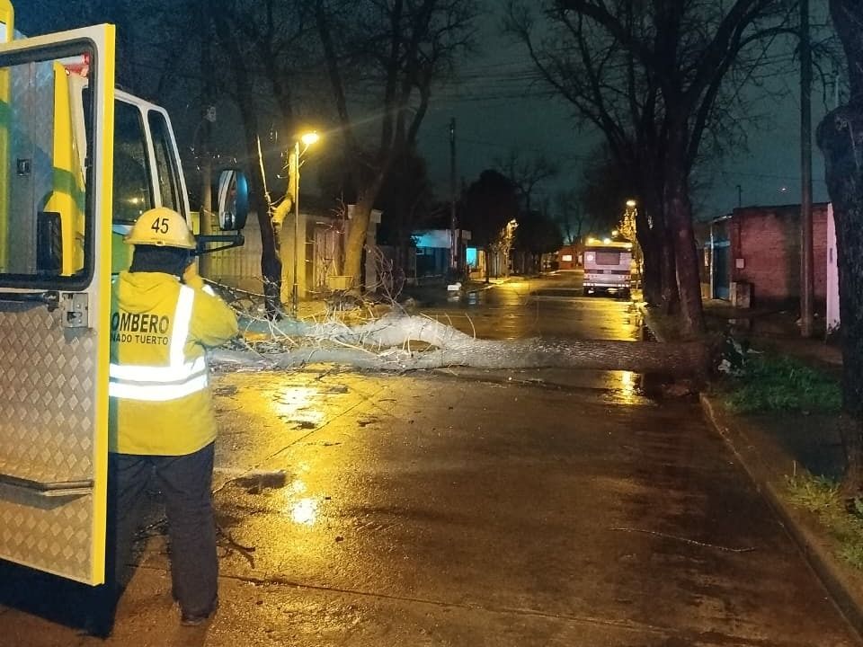 El árbol bloqueaba totalmente la calle Corrientes al 300. Crédito: Bomberos de Venado Tuerto.