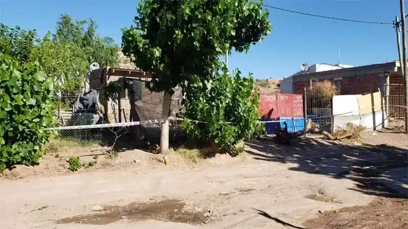 Niño de 2 años fue abusado y asesinado a golpes: detuvieron al novio de su madre