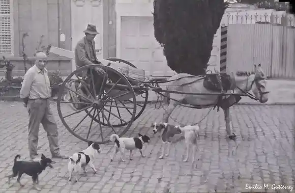 Un recuerdo emotivo de Chascomús a través del lente de Emilio Mariano Gutiérrez