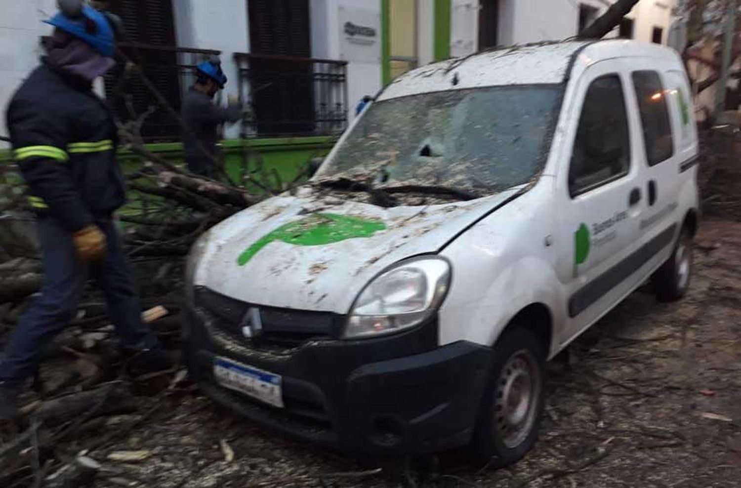 Cayó un árbol y aplastó una camioneta