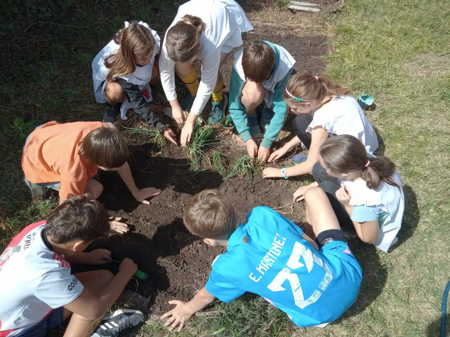 Nuestra Tierra celebra el Día Mundial del Ambiente