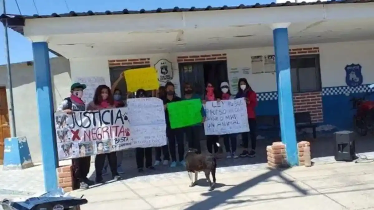 Aberrante: detuvieron a un joven por violar y desmembrar a una perra en Jujuy