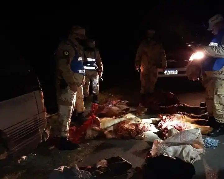 Condenaron a penas de prisión efectiva a cuatro sujetos por delitos de abigeato