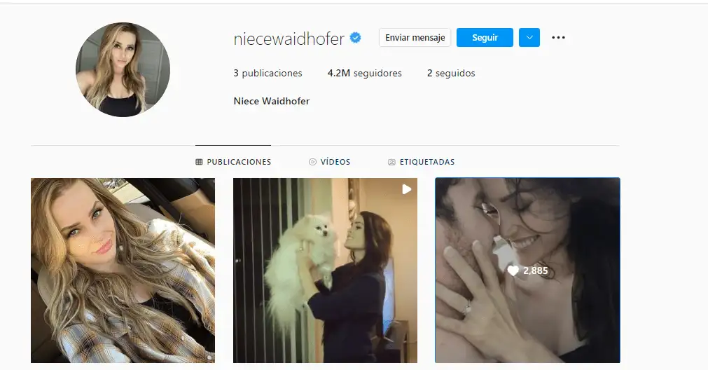 Así quedó el perfil de Niece Waidhofer, luego de que la modelo borrara casi todas sus publicaciones. Foto Instagram