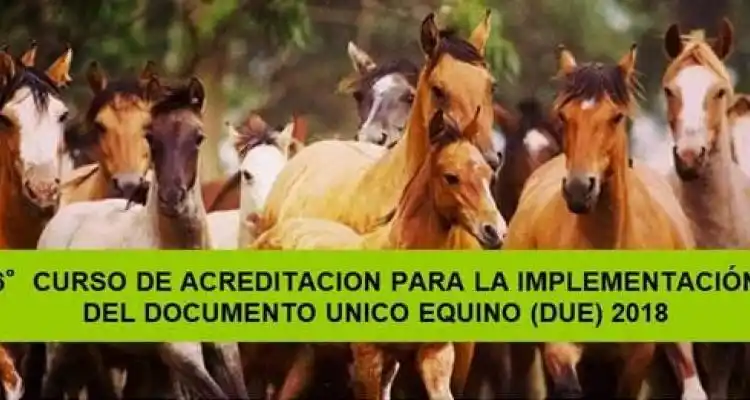 San Pedro, sede del curso de acreditación para la implementación del Documento Único Equino