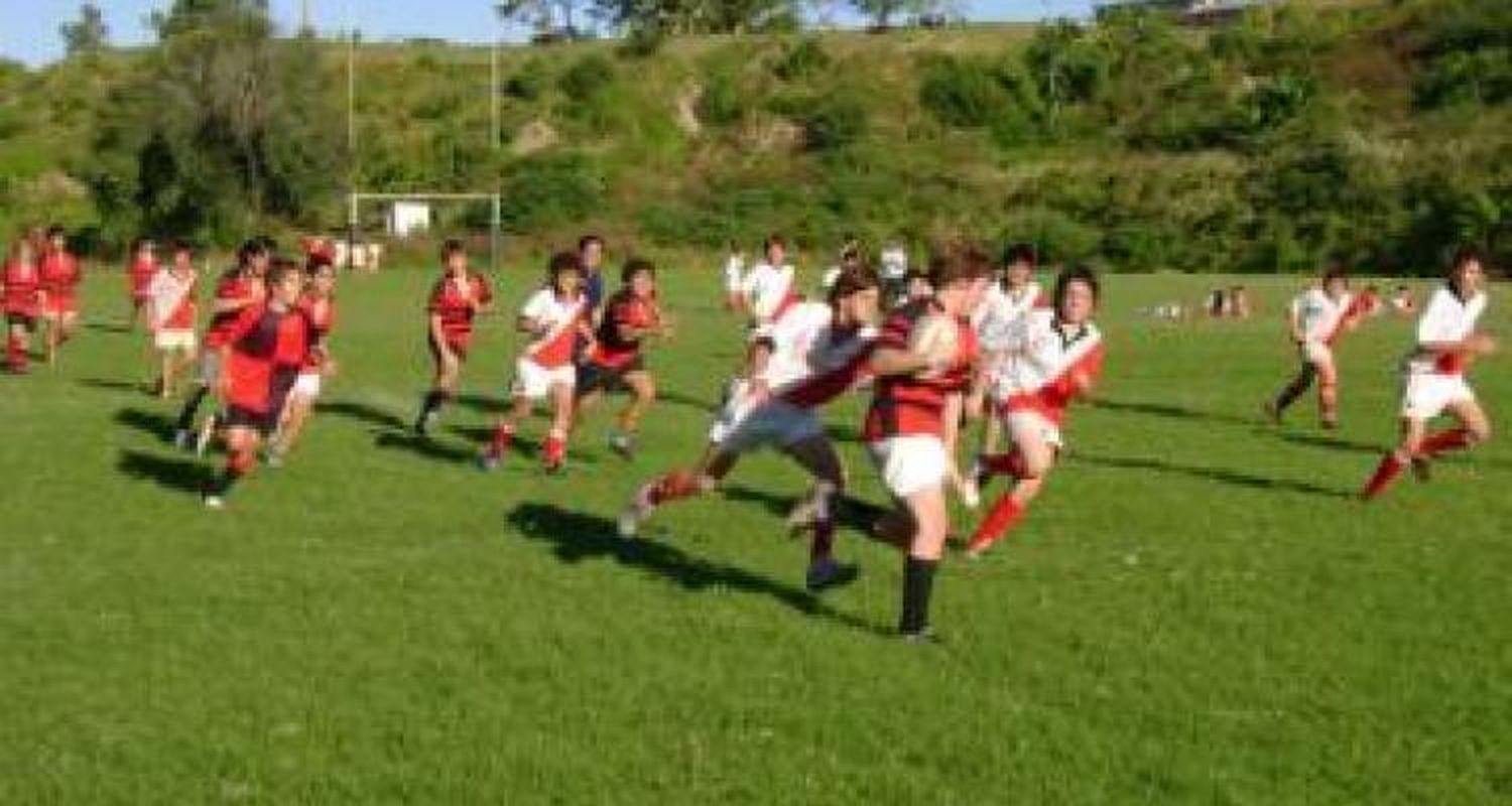Multitudinario torneo de rugby