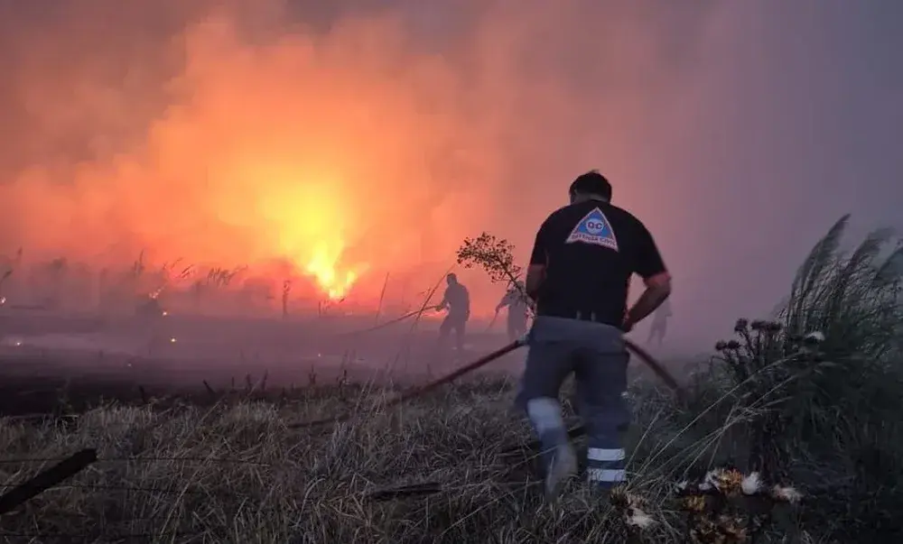 Fuego en Mar del Plata