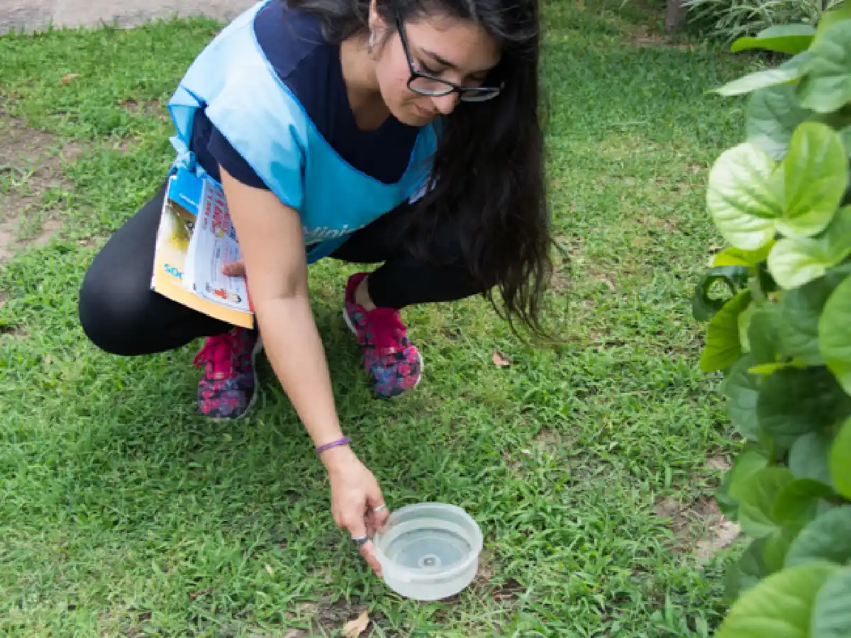 Se detectaron nuevos casos de dengue en la provincia