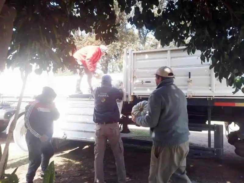 Destacan el trabajo de los productores de Buena Vista y sus aportes al Plan Nutrir