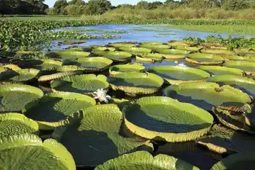 Los humedales y el patrimonio cultural