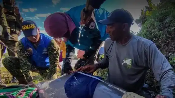 Rescatan en Colombia a dos delfines rosados en peligro de extinción