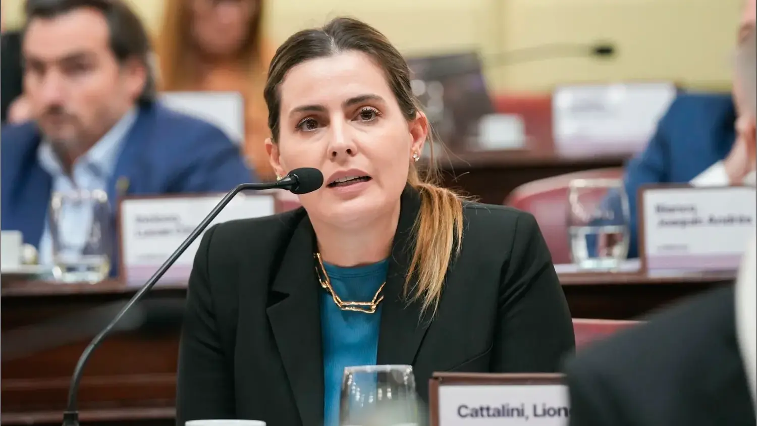 Cattalini celebró la destitución del juez Salmain: “Es un límite a la impunidad”