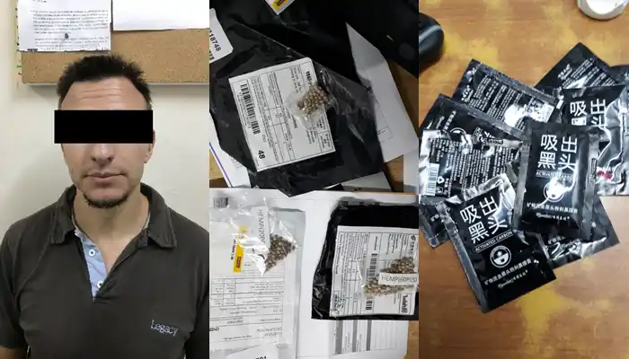 Incautaron 225 semillas de cannabis que llegaron en encomienda a Campana y hay un detenido