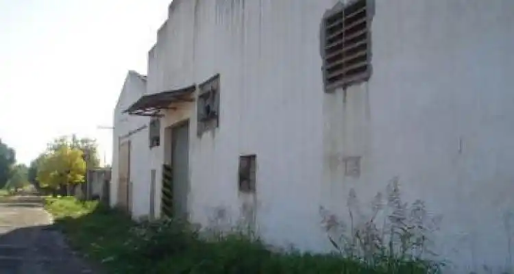 Pagaron $ 787.000 por el resto de Arco de Oro