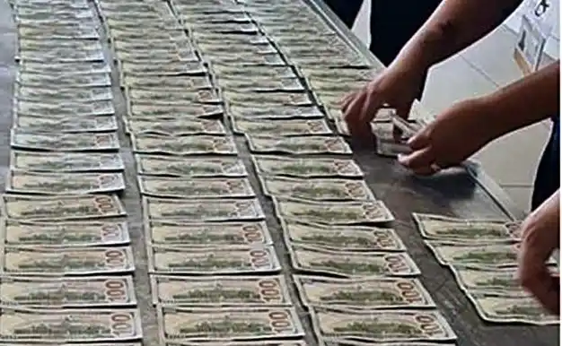 Detuvieron a un argentino que intentaba ingresar 50 mil dólares de forma irregular a Uruguay
