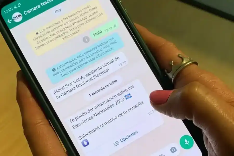 Un chatbot en WhatsApp responderá dudas sobre las Paso Nacionales: ¿cómo funciona?