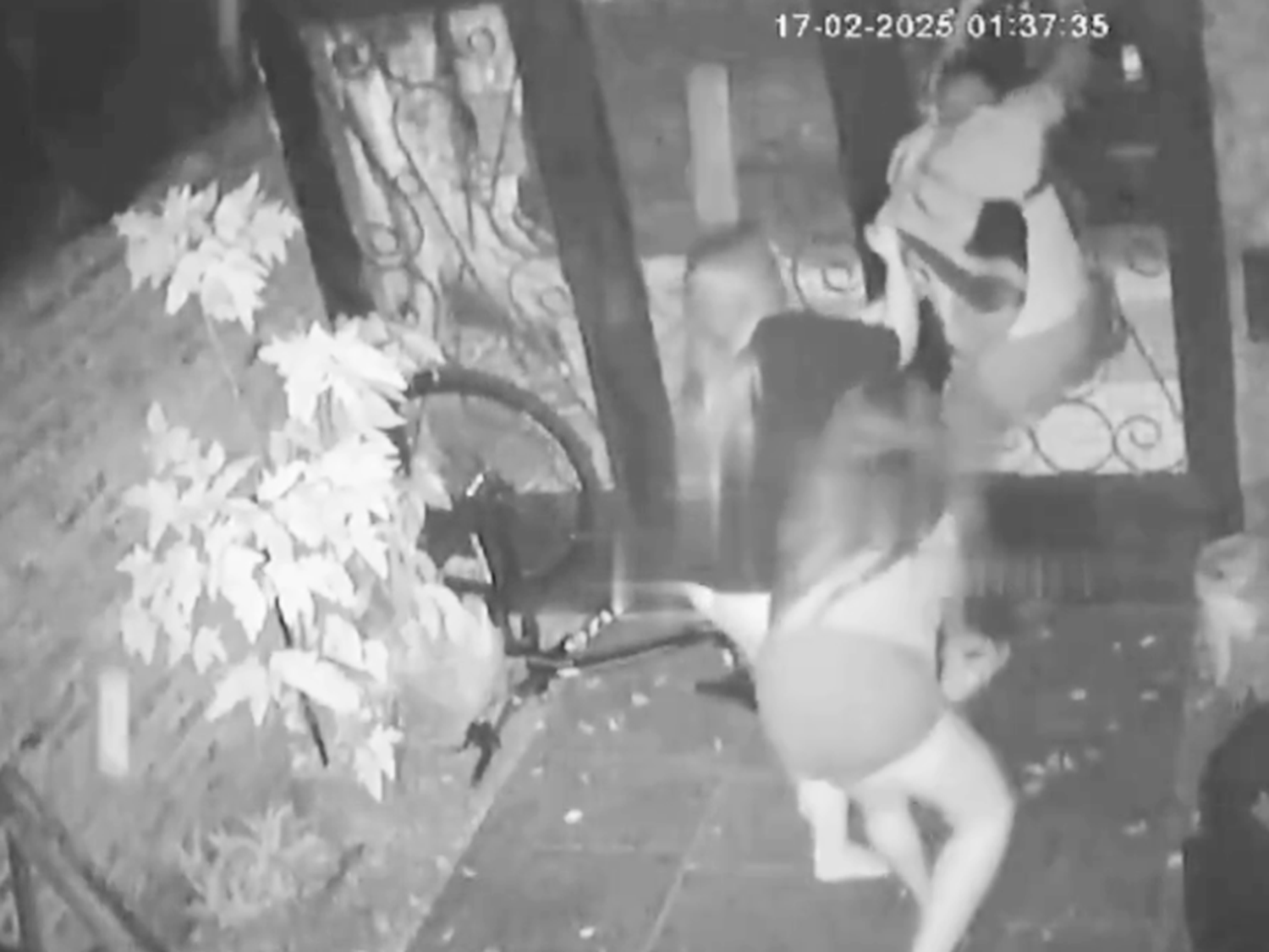 Quiso robar una bicicleta y la familia lo sacó a golpes de la casa