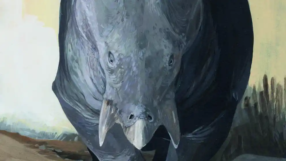 Importante hallazgo arqueológico en Polonia