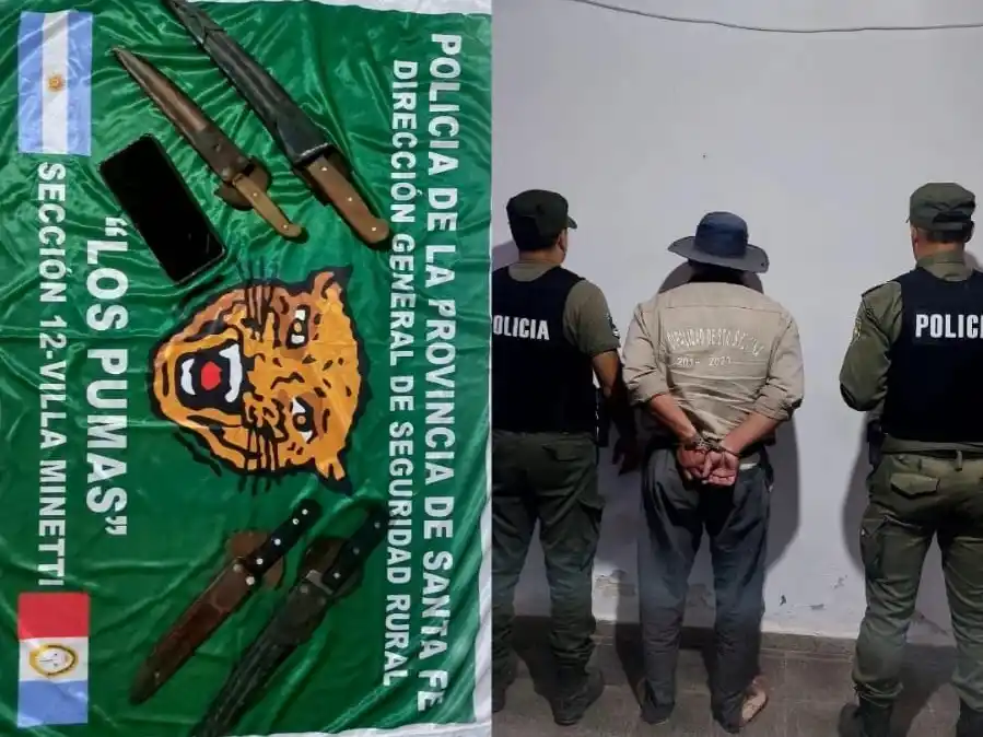 los pumas gato colorado detenido - 2