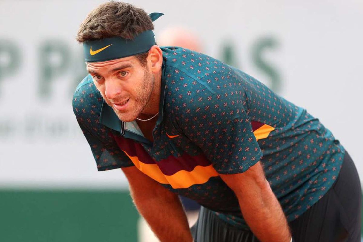 Tenis: Juan Martín Del Potro quedó eliminado de Roland Garros