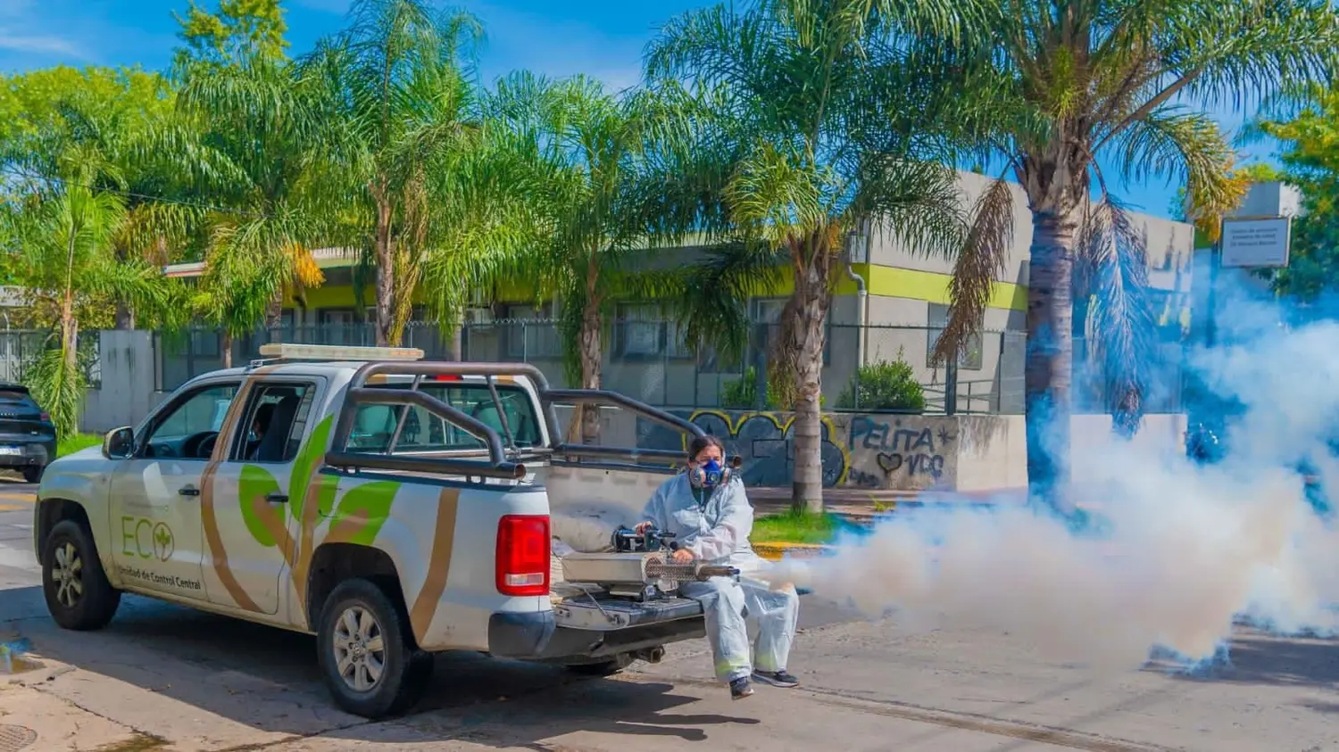 Brote histórico de dengue