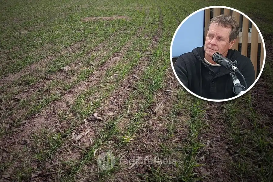 Preocupación para el campo: las lluvias no llegaron y el "ciclo corto viene complicado"