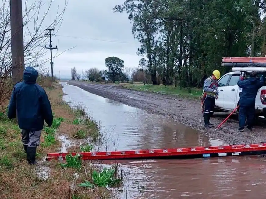 La gran cantidad de agua caída y los fuertes vientos afectaron el servicio eléctrico en más de 15 localidades, pero pudo reponerse rápidamente gracias al accionar de la empresa.