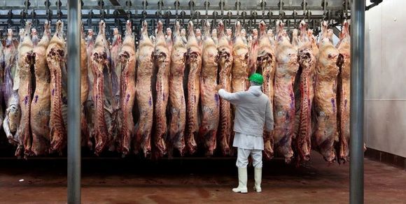 Informe ROSGAN
Guerra de aranceles: ¿Cómo podría quedar posicionada la ganadería argentina en un nuevo escenario?