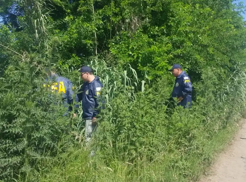 Rastrillajes en la búsqueda de Cristian Enrique