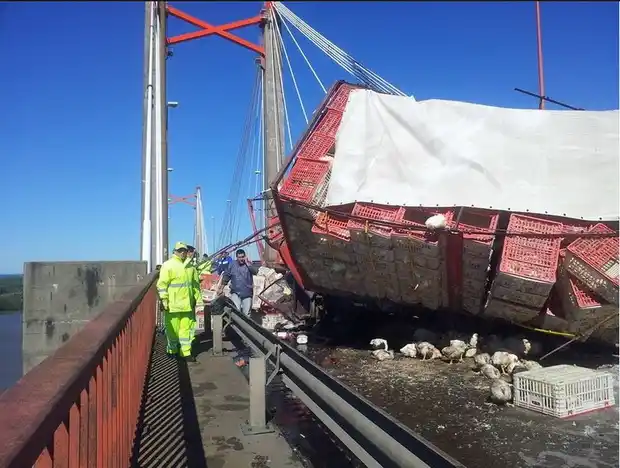 Un camión cargado con pollos mantuvo cortado el puente interprovincial 