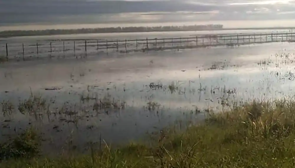 Decretaron la emergencia agropecuaria en Tucumán