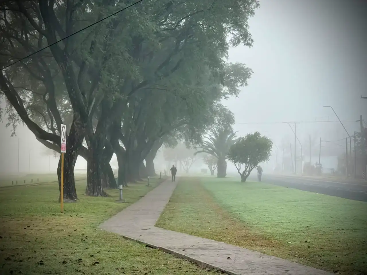 Mañana con niebla en San Francisco.