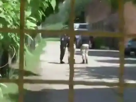 Captura De 12 a 14 (El Tres).