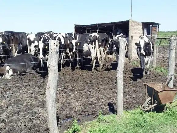 Entre Ríos alcanzó los 4.000 alimentos registrados y consolida su compromiso con la seguridad alimentaria