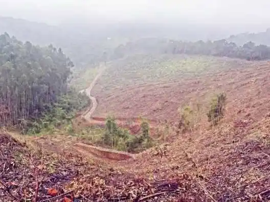 Formosa cierra el año con 331 trasplantes de órganos