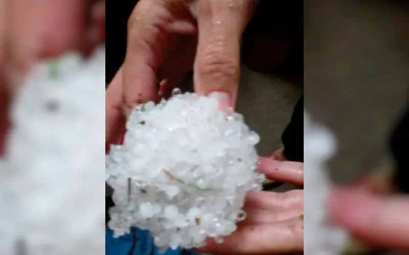 Tormenta: “Así se juntó el granizo en mi patio”
