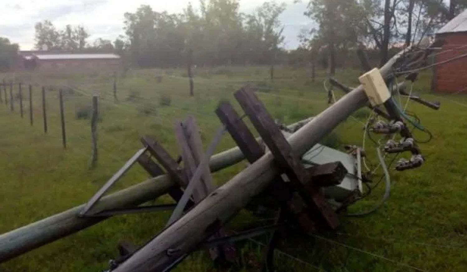 Postes caídos y trabajos de cuadrillas: qué dijo ENERSA sobre las afectaciones tras la tormenta