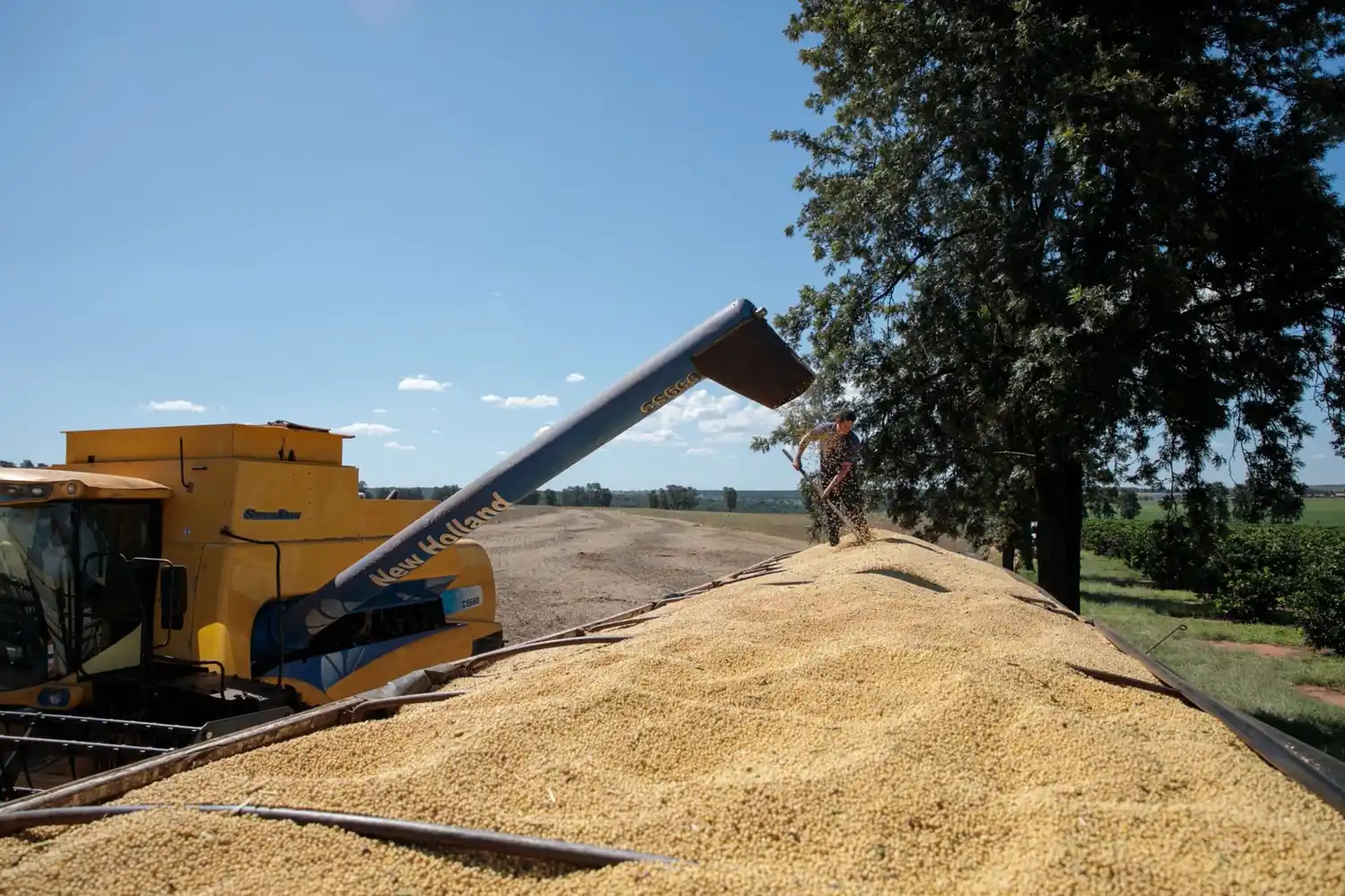 En el sur de Entre Ríos se confirma una caída del 24% en la producción de soja