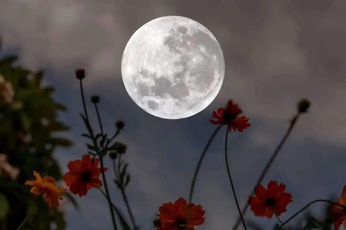 La luna llena es el momento ideal para sumergirte en la sabiduría eterna de este satélite natural.