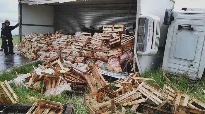 Accidente en Ruta 33: Volcó camión cargado con pollos 
