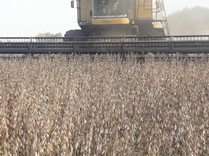 En enero llovió 66% menos que la media histórica: preocupa cada vez más la cosecha gruesa