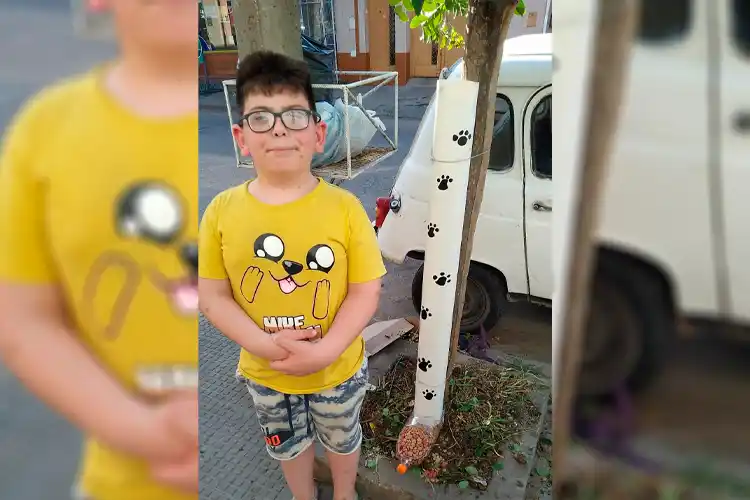 Vio una idea en Tik Tok e hizo un comedero para perros callejeros