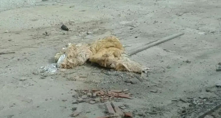 > Un nuevo llamado a licitación para la Escuela de Banfield