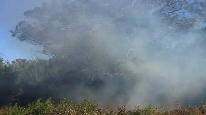 Bomberos intentan sofocar siniestro sobre la ruta 226