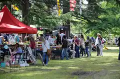 Se realizará una nueva edición de la Expo Jardín Sans Souci, evento que combina jardinería y paisajismo