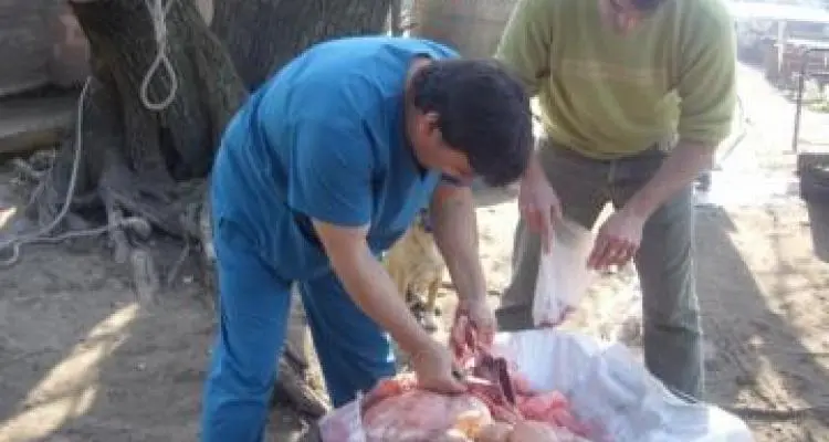 Advirtieron que son 101 los posibles infectados con triquinosis tras el caso de Río Tala