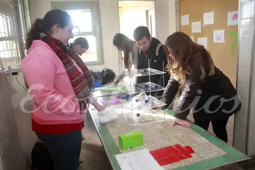 La ciencia despierta el interés de los alumnos de secundario