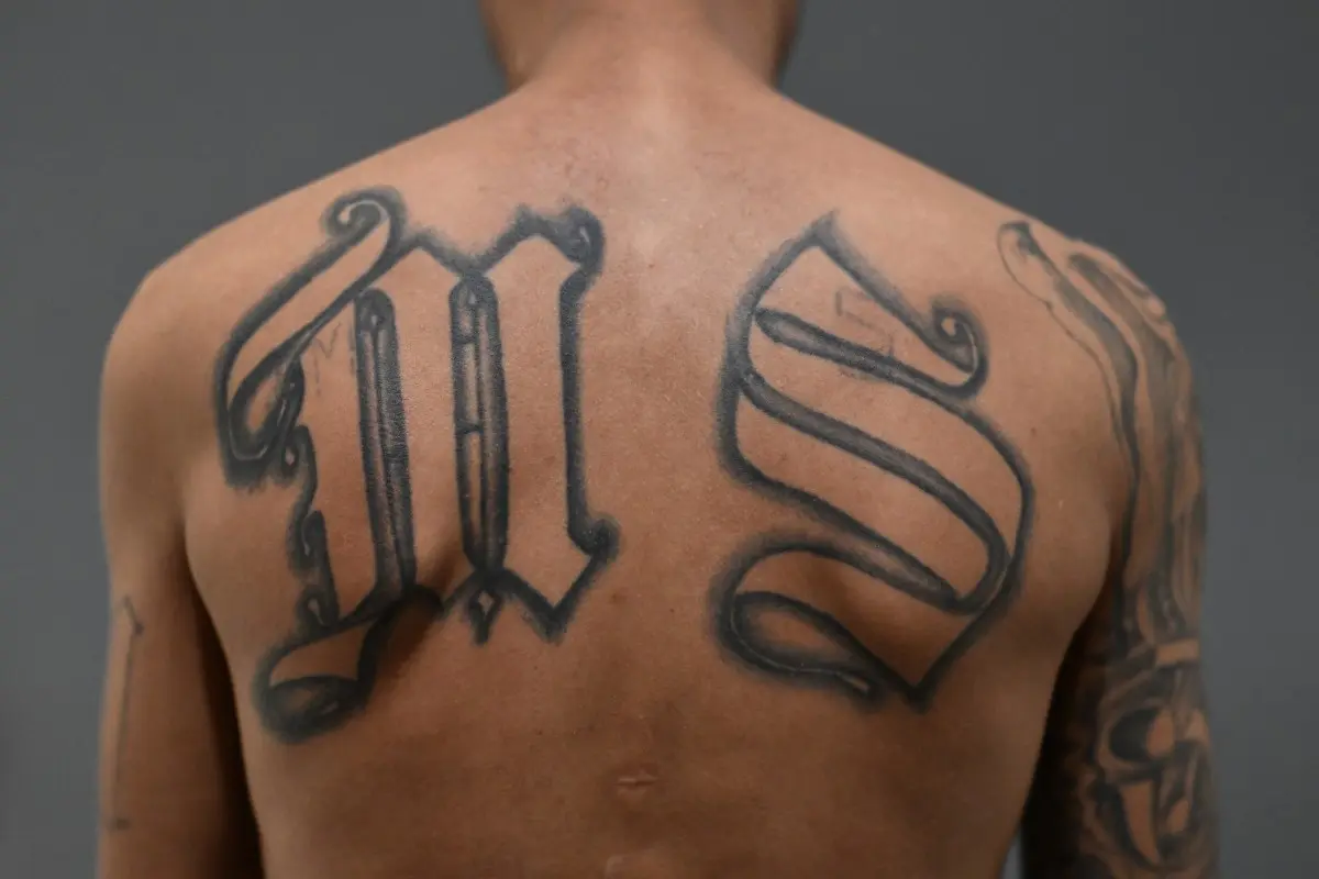 Conoce las 8 bandas criminales designadas como terroristas por EE.UU.