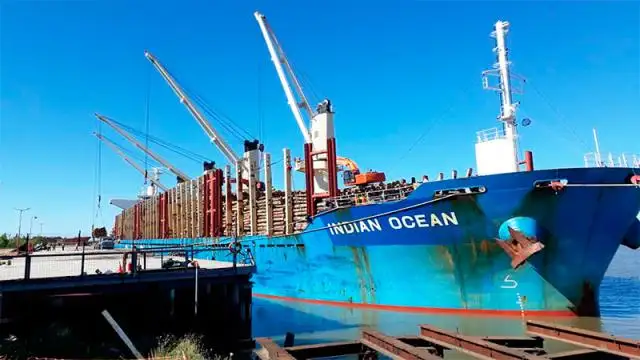Puerto Ibicuy: cargan 34.000 toneladas de madera de pino para exportar a China