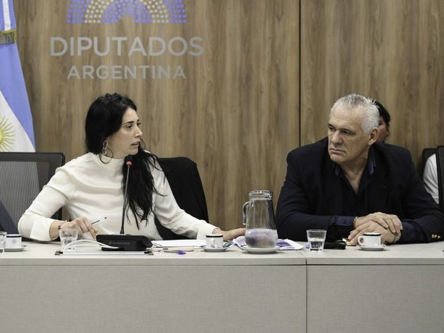 La oposición rechaza la reunión de DD. HH. 
en Formosa acusando fines electorales